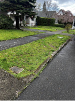 🚛 (503)702-7967 EXPRESS JUNK REMOVAL & Local moving