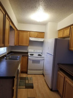 Spacious 3 BR Duplex * Available March