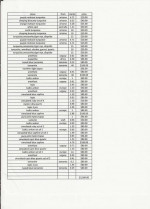 loose     gem stones