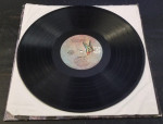 The DOORS Vinyl Record