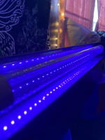 Black Light - 18 Inch UV LED Fixture and Bulb