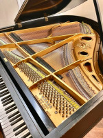 Black Baby Grand Piano (Excellent Piano!)