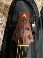 Prometeus 5 string custom bass