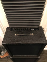 Bass amp