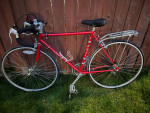 ROAD FUJI BIKE