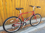 Trek Mountain Track City Commuter Bike