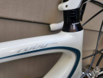Specialized Ruby Elite carbon road bike