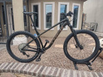 Trek roscoe 7