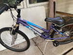Schwinn Ranger 2.4 Mountain Bike 24”