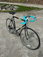 Fuji Arcadia 12-speed Road Bike 58 cm