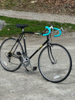 Fuji Arcadia 12-speed Road Bike 58 cm