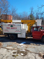 1989 Ford F700 Versalift truck used for tree service, well maintained, featuring a working boom and good tires.