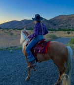 Adorable horse looking for a new home