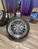 American Force Frost 24x12