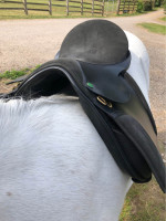 16” Wide Saddle – Like New – Ideal for Wide, Flat-Backed Ponies