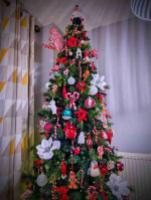 Christmas tree for sale