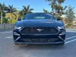 2022 Ford Mustang EcoBoost 10,800 mi