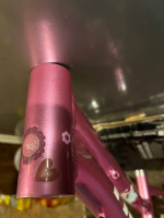 Pro Refurbished Pink Trek MT60 20” wheel MTB