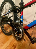 Trek MT 220 24” 21-speed kids mountain bike in excellent condition