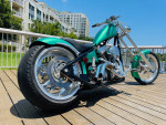 2004 Big Dog Ridgeback Chopper amazing bike