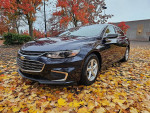 2018 Chevrolet Malibu LT FWD parked amidst colorful autumn leaves, showcasing its clean exterior and modern design.