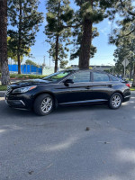 2015 Hyundai Sonata Eco FWD in black parked under pine trees, showcasing alloy wheels and clean exterior.