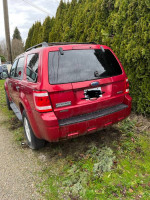 2008 Ford Escape AWD parked in a driveway, with greenery in the background and visible dirt on the rear.