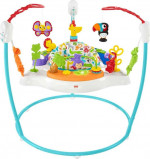Fisher-Price Baby Bouncer Animal Activity Jumperoo With Music Lights S