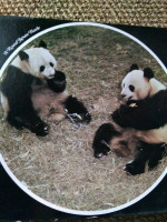 🐼 *500+ Pieces JIGSAW PUZZLES *** FIVE (5) for ...